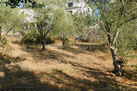 Terra a Seia, Guarda, Seia - € 70.000 | Ref: 382220013 - foto 4
