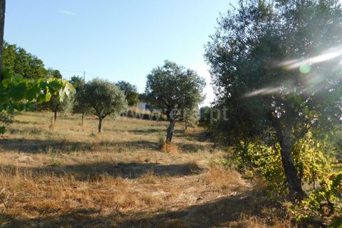 Terra a Seia, Guarda, Seia - € 70.000 | Ref: 382220013 - foto 5