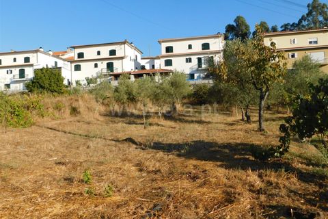 Terra a Seia, Guarda, Seia - € 70.000 | Ref: 382220013 - foto 6