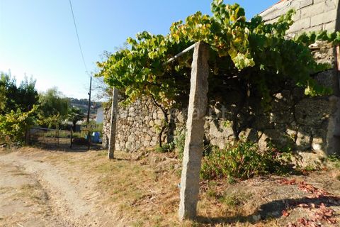 Terra a Seia, Guarda, Seia - € 70.000 | Ref: 382220013 - foto 7