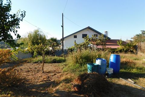 Terra a Seia, Guarda, Seia - € 70.000 | Ref: 382220013 - foto 8
