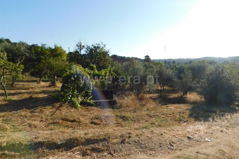 Terra a Seia, Guarda, Seia - € 70.000 | Ref: 382220013 - foto 9