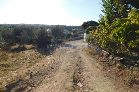 Terra a Seia, Guarda, Seia - € 70.000 | Ref: 382220013 - foto 10