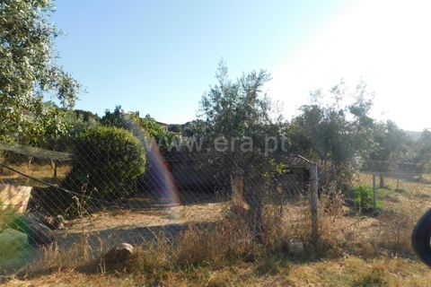 Terra a Seia, Guarda, Seia - € 70.000 | Ref: 382220013 - foto 11