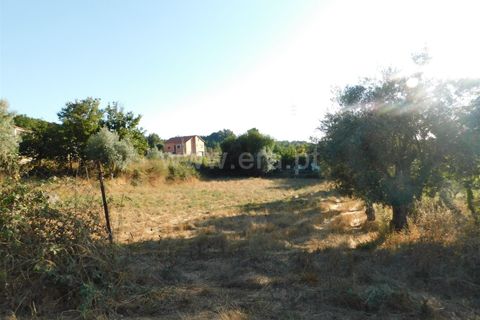 Terra a Seia, Guarda, Seia - € 70.000 | Ref: 382220013 - foto 12