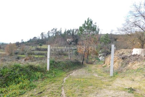Helårsgrund i Seia, Guarda, Seia - € 56.000 | Ref: 382220015 - foto 2