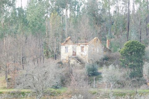 Helårsgrund i Seia, Guarda, Seia - € 56.000 | Ref: 382220015 - foto 3