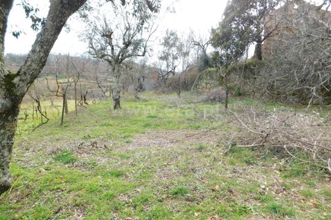 Helårsgrund i Seia, Guarda, Seia - € 56.000 | Ref: 382220015 - foto 8