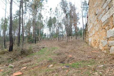 Helårsgrund i Seia, Guarda, Seia - € 56.000 | Ref: 382220015 - foto 11