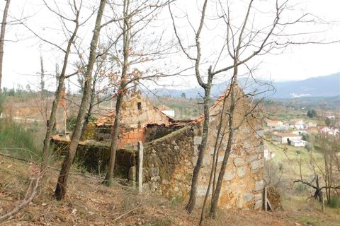 Helårsgrund i Seia, Guarda, Seia - € 56.000 | Ref: 382220015 - foto 12
