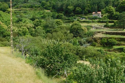 Villa i Seia, Guarda, Seia - € 17.000 | Ref: 382230122 - foto 6