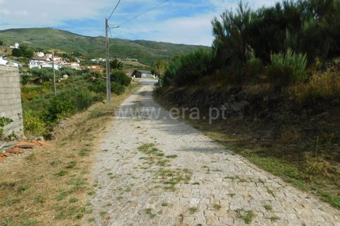 Tomt i Seia, Guarda, Seia - € 10 900 | Ref: 382230164 - foto 2