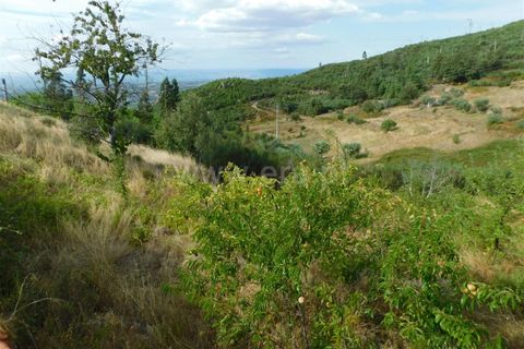 Tomt i Seia, Guarda, Seia - € 10 900 | Ref: 382230164 - foto 8