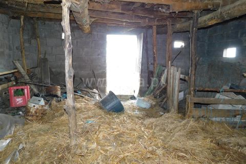 Tomt i Seia, Guarda, Seia - € 10 900 | Ref: 382230164 - foto 11