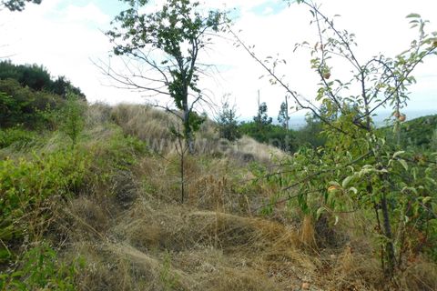 Tomt i Seia, Guarda, Seia - € 10 900 | Ref: 382230164 - foto 12