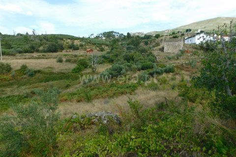 Tomt i Seia, Guarda, Seia - € 10 900 | Ref: 382230164 - foto 14