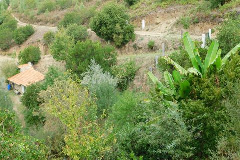 Landejendom i Seia, Guarda, Seia - € 36.000 | Ref: 382230178 - foto 1