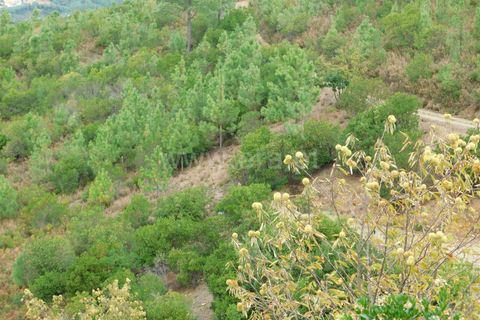 Landejendom i Seia, Guarda, Seia - € 36.000 | Ref: 382230178 - foto 2