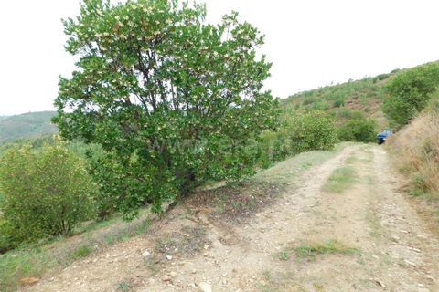 Landejendom i Seia, Guarda, Seia - € 36.000 | Ref: 382230178 - foto 3
