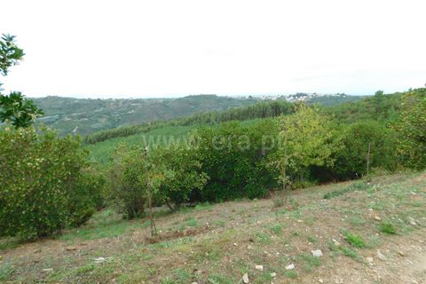 Landejendom i Seia, Guarda, Seia - € 36.000 | Ref: 382230178 - foto 4