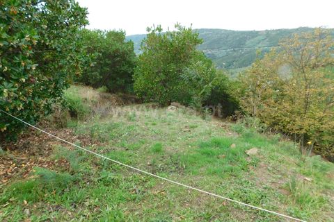 Landejendom i Seia, Guarda, Seia - € 36.000 | Ref: 382230178 - foto 5