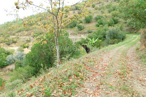 Landejendom i Seia, Guarda, Seia - € 36.000 | Ref: 382230178 - foto 6