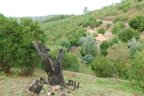 Landejendom i Seia, Guarda, Seia - € 36.000 | Ref: 382230178 - foto 7