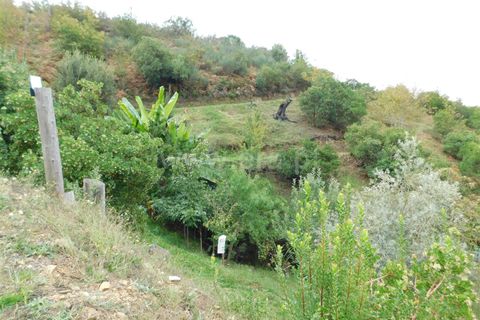 Landejendom i Seia, Guarda, Seia - € 36.000 | Ref: 382230178 - foto 8