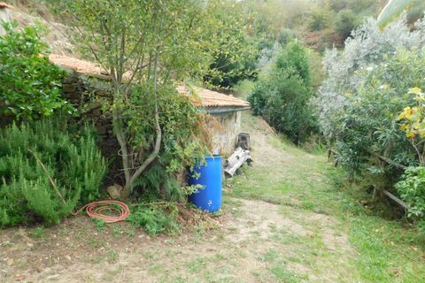Landejendom i Seia, Guarda, Seia - € 36.000 | Ref: 382230178 - foto 11