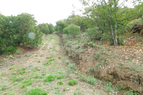 Landejendom i Seia, Guarda, Seia - € 36.000 | Ref: 382230178 - foto 16