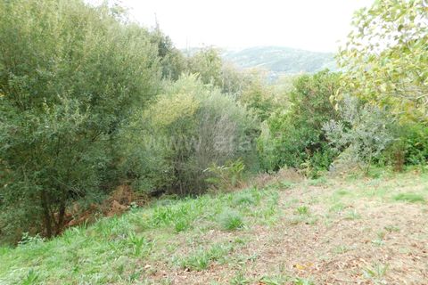 Landejendom i Seia, Guarda, Seia - € 36.000 | Ref: 382230178 - foto 17