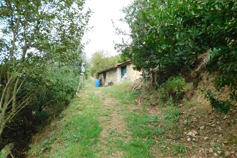 Landejendom i Seia, Guarda, Seia - € 36.000 | Ref: 382230178 - foto 18