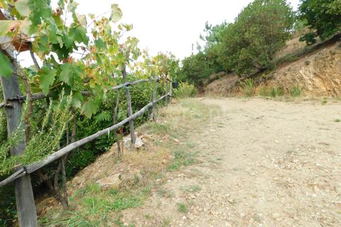 Landejendom i Seia, Guarda, Seia - € 36.000 | Ref: 382230178 - foto 20