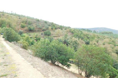 Landejendom i Seia, Guarda, Seia - € 36.000 | Ref: 382230178 - foto 22