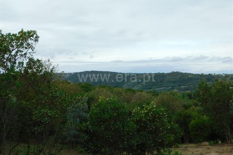 Helårsgrund i Seia, Guarda, Seia - € 28.000 | Ref: 382230179 - foto 4