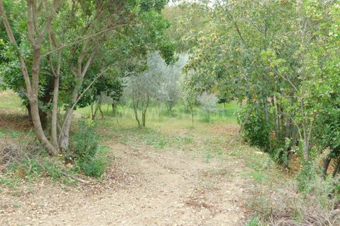 Helårsgrund i Seia, Guarda, Seia - € 28.000 | Ref: 382230179 - foto 5