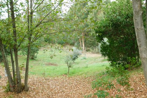 Helårsgrund i Seia, Guarda, Seia - € 28.000 | Ref: 382230179 - foto 6