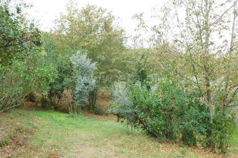 Helårsgrund i Seia, Guarda, Seia - € 28.000 | Ref: 382230179 - foto 7