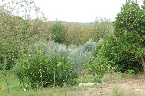 Helårsgrund i Seia, Guarda, Seia - € 28.000 | Ref: 382230179 - foto 8