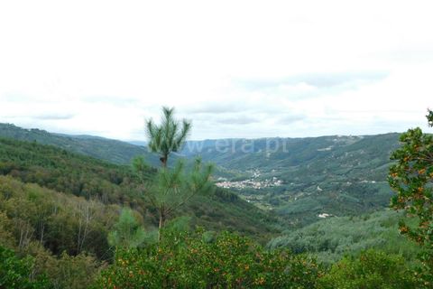 Helårsgrund i Seia, Guarda, Seia - € 28.000 | Ref: 382230179 - foto 9