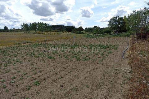 Helårsgrund i Belmonte, Castelo Branco, Belmonte - € 65.000 | Ref: 111140451 - foto 2