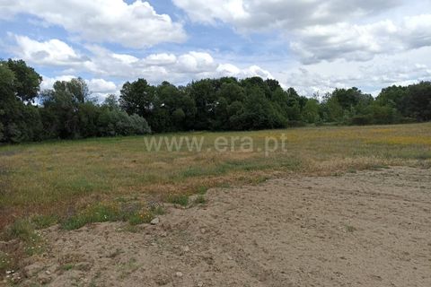 Helårsgrund i Belmonte, Castelo Branco, Belmonte - € 65.000 | Ref: 111140451 - foto 3