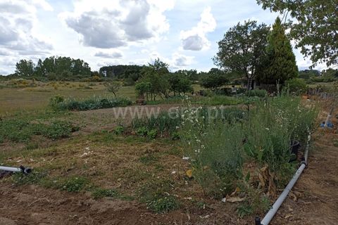 Helårsgrund i Belmonte, Castelo Branco, Belmonte - € 65.000 | Ref: 111140451 - foto 4