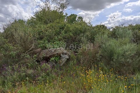Helårsgrund i Belmonte, Castelo Branco, Belmonte - € 65.000 | Ref: 111140451 - foto 9