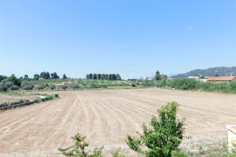 Terra a Belmonte, Castelo Branco, Belmonte - € 40.000 | Ref: 111170167 - foto 2