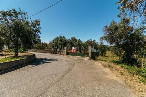 Helårsgrund i Covilha, Castelo Branco, Covilha - € 49.000 | Ref: 111140355 - foto 2