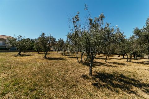 Helårsgrund i Covilha, Castelo Branco, Covilha - € 49.000 | Ref: 111140355 - foto 5