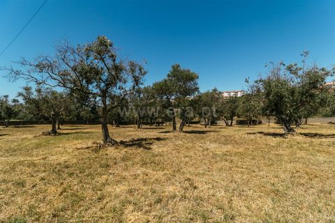 Helårsgrund i Covilha, Castelo Branco, Covilha - € 49.000 | Ref: 111140355 - foto 6