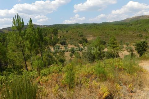 Helårsgrund i Covilha, Castelo Branco, Covilha - € 36.500 | Ref: 111190338 - foto 3