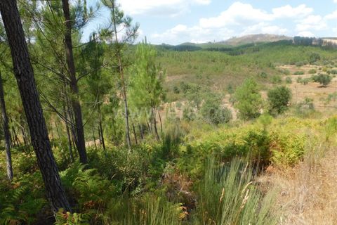 Helårsgrund i Covilha, Castelo Branco, Covilha - € 36.500 | Ref: 111190338 - foto 4
